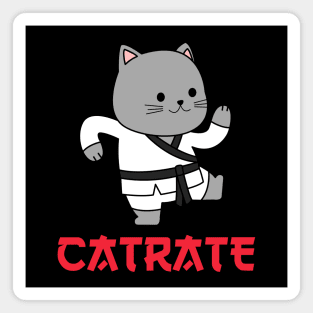 CUTE KARATE CAT JAPANESE Magnet